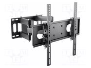 Holder; for wall mounting; 35kg; 32÷55"; black; Dim: 400x435x430mm GEMBIRD