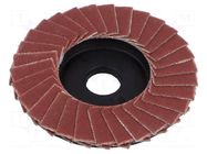 Flap grinding wheels; 50mm; Granularity: 240 PROXXON