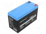 Re-battery: Li-FePO4; 12.8V; 7Ah; connectors; BMS QOLTEC