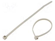 Cable tie; L: 100mm; W: 2.45mm; grey; polyamide; 80N; Ømax: 22mm; T18R HELLERMANNTYTON