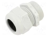 Cable gland; M32; 1.5 OBO BETTERMANN
