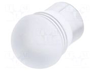 Fiber for LED; Ø5.2mm; L: 4.5mm; round; Front: convex; straight MENTOR