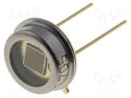 Photodiode; THT; 920nm; 550÷1040nm; 100° VISHAY