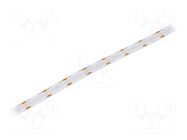 COB LED tape; blue; LED/m: 528; 10mm; IP20; 10W/m; CRImin: 80; 12VDC WISVA OPTOELECTRONICS