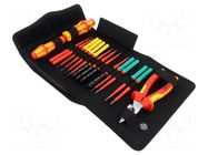 Kit: ESD set; suitable for electrical, under voltage works WERA