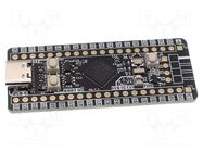 Dev.kit: STM32; prototype board; BOOTLOADER button,RESET button KAMAMI