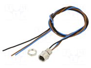 Cable: for sensors/automation; M8; PIN: 3; straight; 0.5m; socket BALLUFF