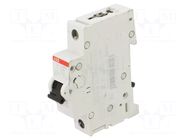 Circuit breaker; 230VAC; 220VDC; Inom: 6A; Poles: 1; Charact: C; 10kA ABB