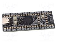 Dev.kit: STM32; prototype board; BOOTLOADER button,RESET button KAMAMI