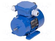 Motor: AC; 1-phase; 0.06kW; 230VAC; 1410rpm; 0.41Nm; IP54; 0.65A BESEL