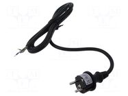 Cable; 3x1mm2; CEE 7/7 (E/F) plug,wires,SCHUKO plug; rubber; 2m PLASTROL