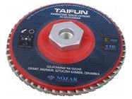 Flap grinding wheels; 115mm; Granularity: 200; M14; TAIFUN NOZAR DIAMANTWERKZEUGE
