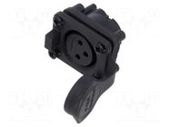 Connector: XLR; socket; female; AXS; 15A; 133V; PIN: 3; IP65; straight AMPHENOL
