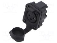 Connector: XLR; socket; female; AXS; 15A; 133V; PIN: 3; IP65; angled AMPHENOL