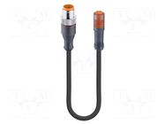 Cable: for sensors/automation; M12,M8; PIN: 3; 2m; plug; 60VDC; 4A LUMBERG AUTOMATION