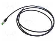 Cable: for sensors/automation; M8; PIN: 3; straight; 1.5m; plug MURRELEKTRONIK