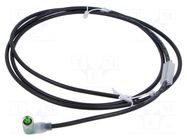 Cable: for sensors/automation; M8; PIN: 3; angled; 1.5m; plug; 30VDC MURRELEKTRONIK