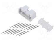 Diagnostic connector OBD II; Body: light grey; male; 24VDC KRADEX