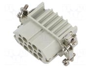 Connector: HDC; contact insert; female; CD; PIN: 15; 10A; 600V; 15+PE ILME