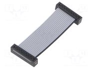 Ribbon cable with IDC connectors; IDC,both sides; Tape ph: 1mm SAMTEC