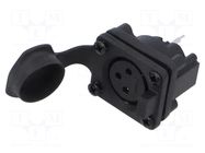 Connector: XLR; socket; female; AXS; 15A; 133V; PIN: 3; IP65; straight AMPHENOL