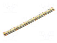 LED tape; white cold; 3528; LED/m: 240; 10.5mm; white PCB; IP65 KGP ELECTRONICS