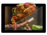 Display: TFT; 12.1"; 1280x800; Illumin: LED; RGB; Interface: LVDS Riverdi