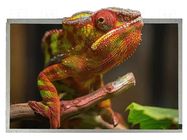 Display: TFT; 12.1"; 1280x800; Illumin: LED; RGB; Interface: LVDS Riverdi