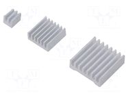 Heatsink: extruded; grilled; Raspberry Pi; silver; H: 5mm; glued 