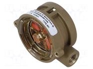 Automation module: signaller; Control.param: fluid flow; brass GEMS SENSORS