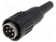 Connector: DIN; plug; male; PIN: 6; straight; for cable; soldering AMPHENOL