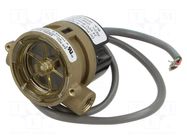 Automation module: signaller; Control.param: fluid flow; 0.6m GEMS SENSORS