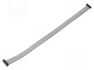 Ribbon cable with IDC connectors; IDC,both sides; Tape ph: 1mm SAMTEC