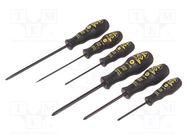 Kit: screwdrivers; Phillips,slot; ESD; 6pcs. C.K