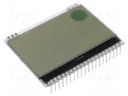 Display: LCD; graphical; 128x64; FSTN Positive; white; 55x43mm DISPLAY VISIONS