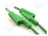 Test lead; 60VDC; 20A; banana plug 4mm,both sides; Len: 1m; green 