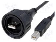 Cable; USB Buccaneer; USB A plug,USB B plug; 3m; IP68 BULGIN