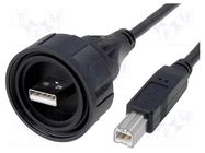 Cable; USB Buccaneer; USB A plug,USB B plug; 5m; IP68 BULGIN