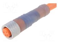 Cable: for sensors/automation; M8; PIN: 4; straight; 10m; plug; 4A LUMBERG AUTOMATION