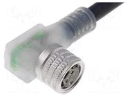 Cable: for sensors/automation; M8; PIN: 3; angled; 5m; plug; 30VDC LUMBERG AUTOMATION