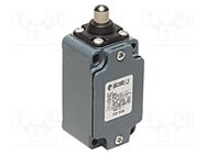 Limit switch; pin plunger Ø10mm; NO + NC; 10A; max.500VAC; PG13,5 PIZZATO ELETTRICA