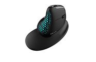 Wireless Ergonomic Mouse Delux M618XSD BT+2.4G RGB, Delux