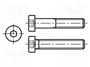 Screw; M3x10; 0.5; Head: cheese head; hex key; HEX 2mm; steel; zinc BOSSARD