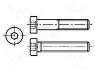 Screw; M3x20; 0.5; Head: cheese head; hex key; HEX 2mm; steel; zinc BOSSARD