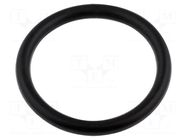 O-ring; 10pcs; Gasket: NBR caoutchouc FISNAR