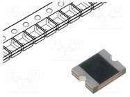 Fuse: PTC polymer; 300mA; 2016L LITTELFUSE