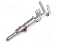 Contact; male; EL; phosphor bronze; tinned; 0.5÷1.25mm2; crimped JST