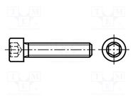 Screw; withTuflok patch; M4x16; 0.7; Head: cheese head; hex key BOSSARD