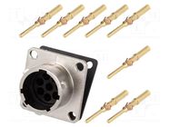 Connector: circular; socket; PIN: 8; male; crimped; RT360; IP67; 13A AMPHENOL
