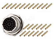 Connector: circular; socket,plug; PIN: 23; female; crimped; RT360 AMPHENOL